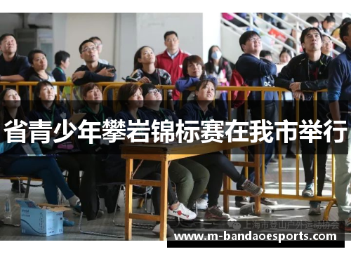 省青少年攀岩锦标赛在我市举行